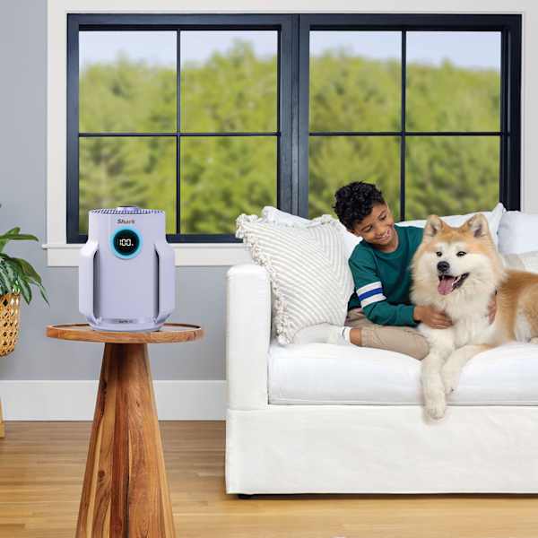 Official Shark photo: Compact Pro in a living room with a child and dog